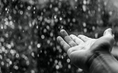 Preparing For Winter